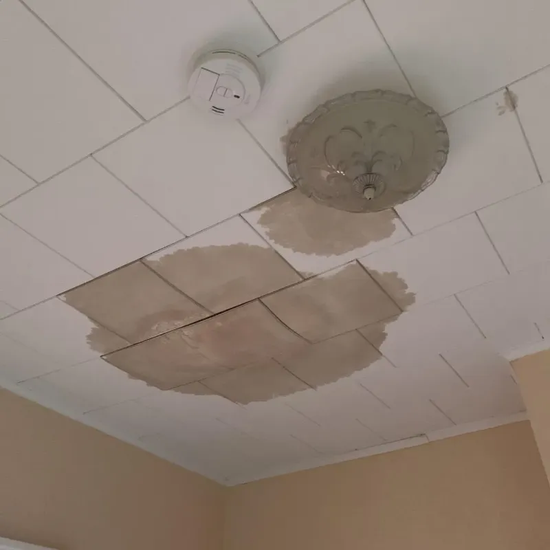 Ceiling Water Damage Repair in Guymon, OK