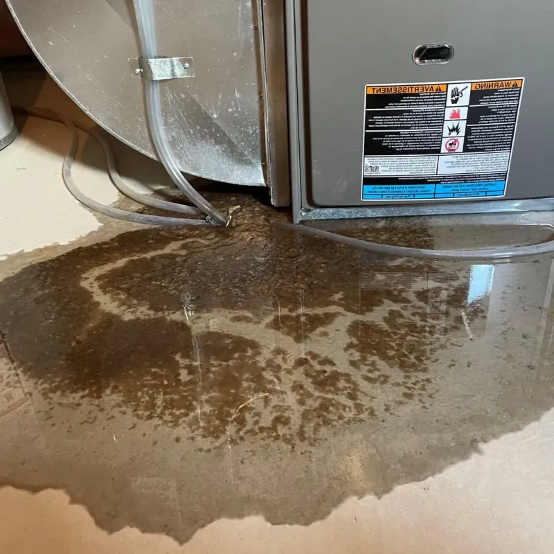 Pipe Burst and Leak Restoration in Guymon, OK